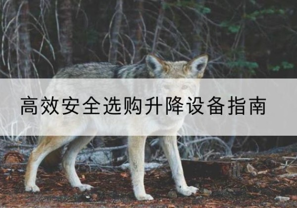 沂源升降货梯厂家推荐-*安全选购升降设备指南