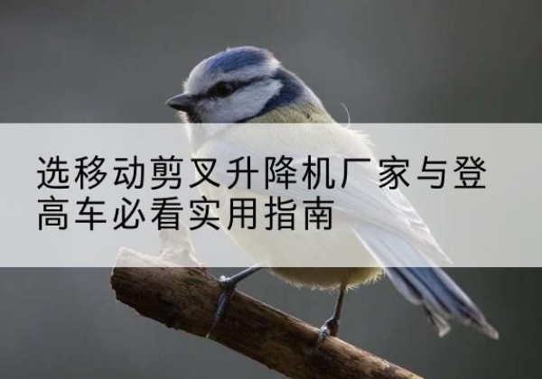 沂源电动升降机厂家-选移动剪叉升降机厂家与登高车必看实用指南